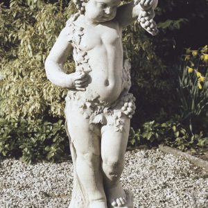 Kind met druiven enkel