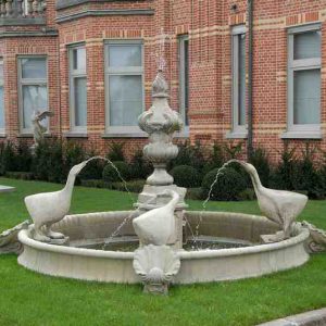 Fontein met zwanen