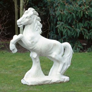 Paard grootste