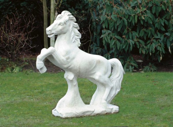 Paard grootste
