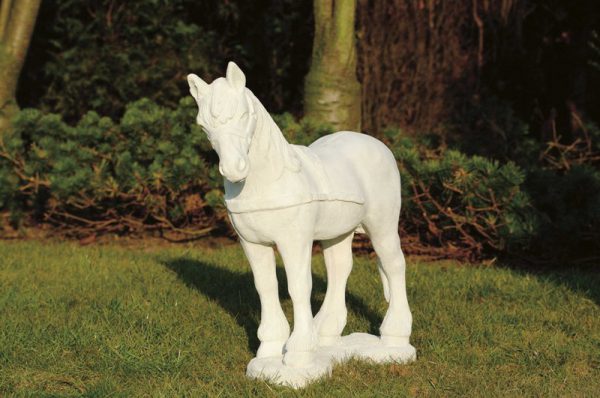 Paard klein