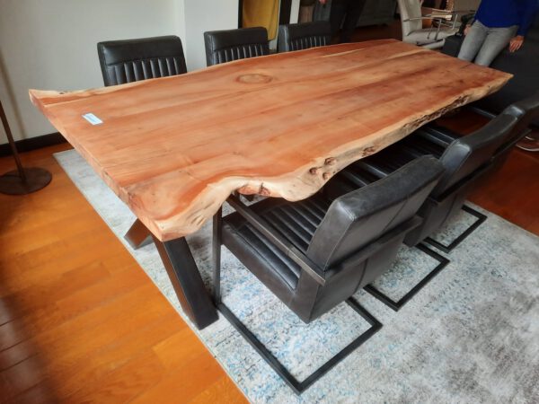 Soria boomstamtafel, Tower Living - Afbeelding 20