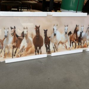 Foto op glas: paarden
