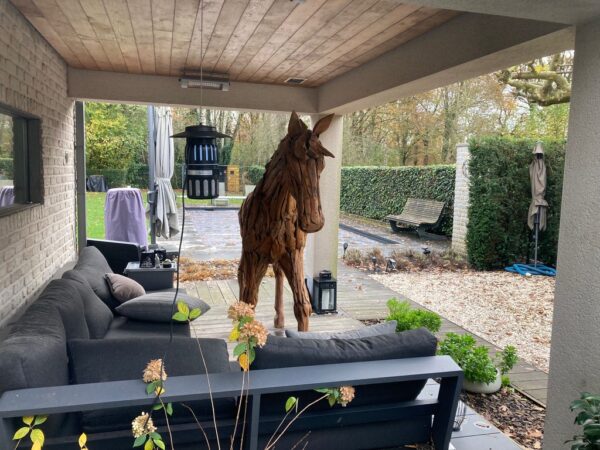 Paard uit teakhout - Afbeelding 16