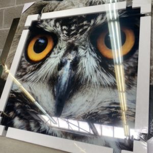 Foto op glas: uil