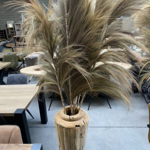 Rayung Gras Pluimen Naturel - Decoratieve Pluimen