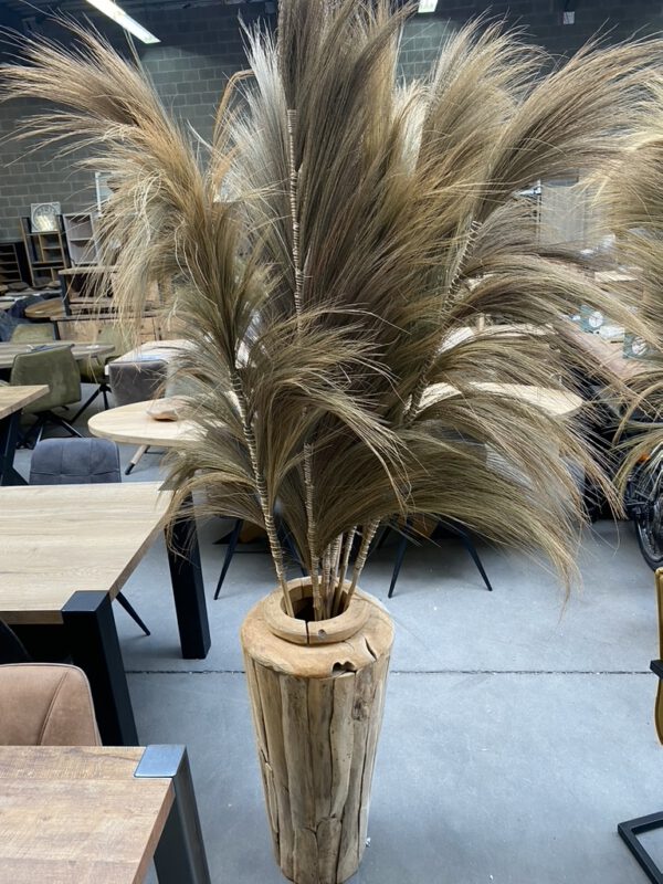 Rayung Gras Pluimen Naturel - Decoratieve Pluimen