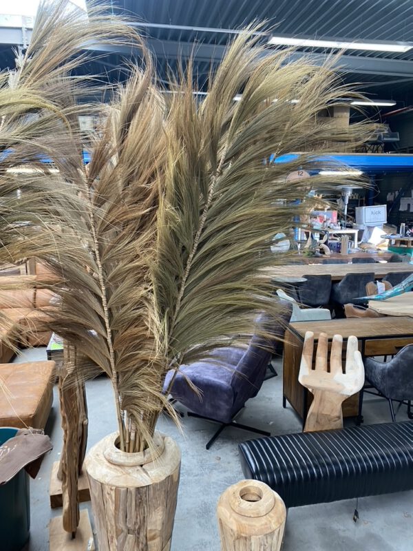 Rayung Gras Pluimen Naturel - Decoratieve Pluimen - Afbeelding 4