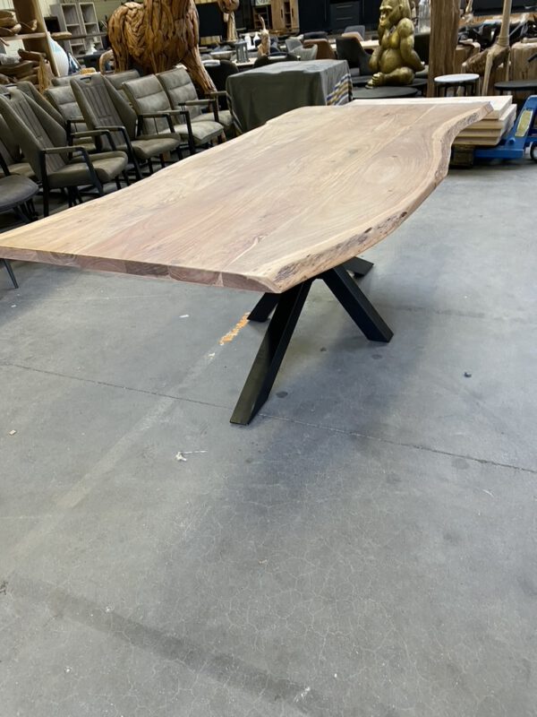 Rico boomstamtafel, acaciahout