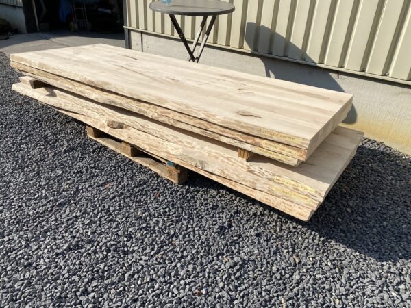 Amalia boomstamtafel - Afbeelding 26