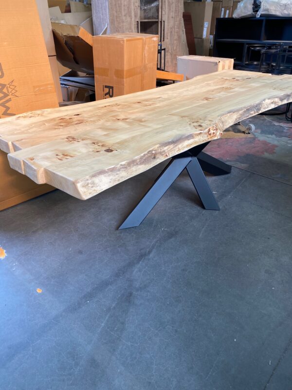 Amalia boomstamtafel - Afbeelding 34