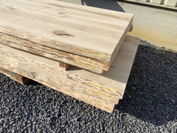 Amalia boomstamtafel - Afbeelding 25
