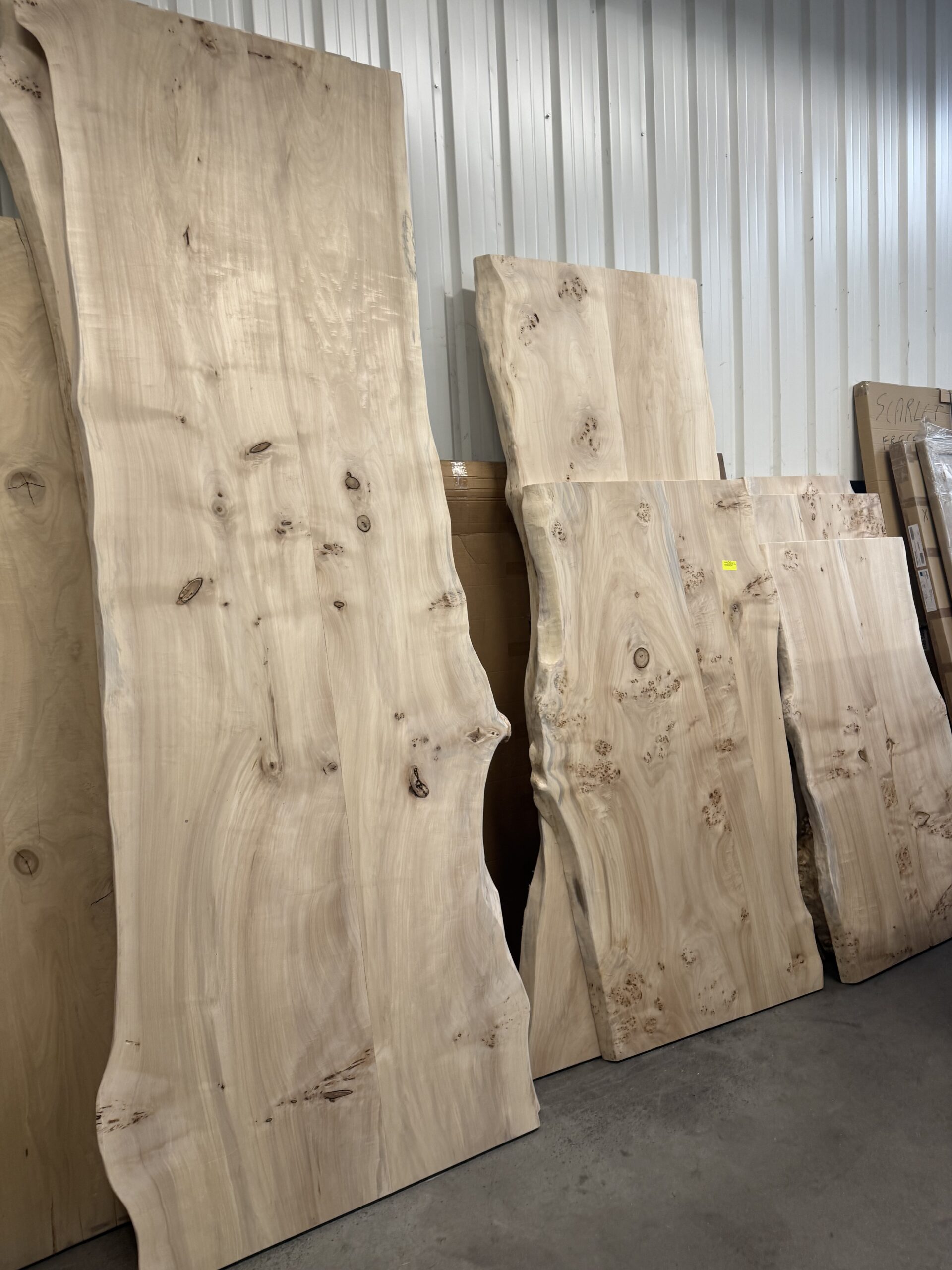 Amalia boomstamtafel - Afbeelding 45