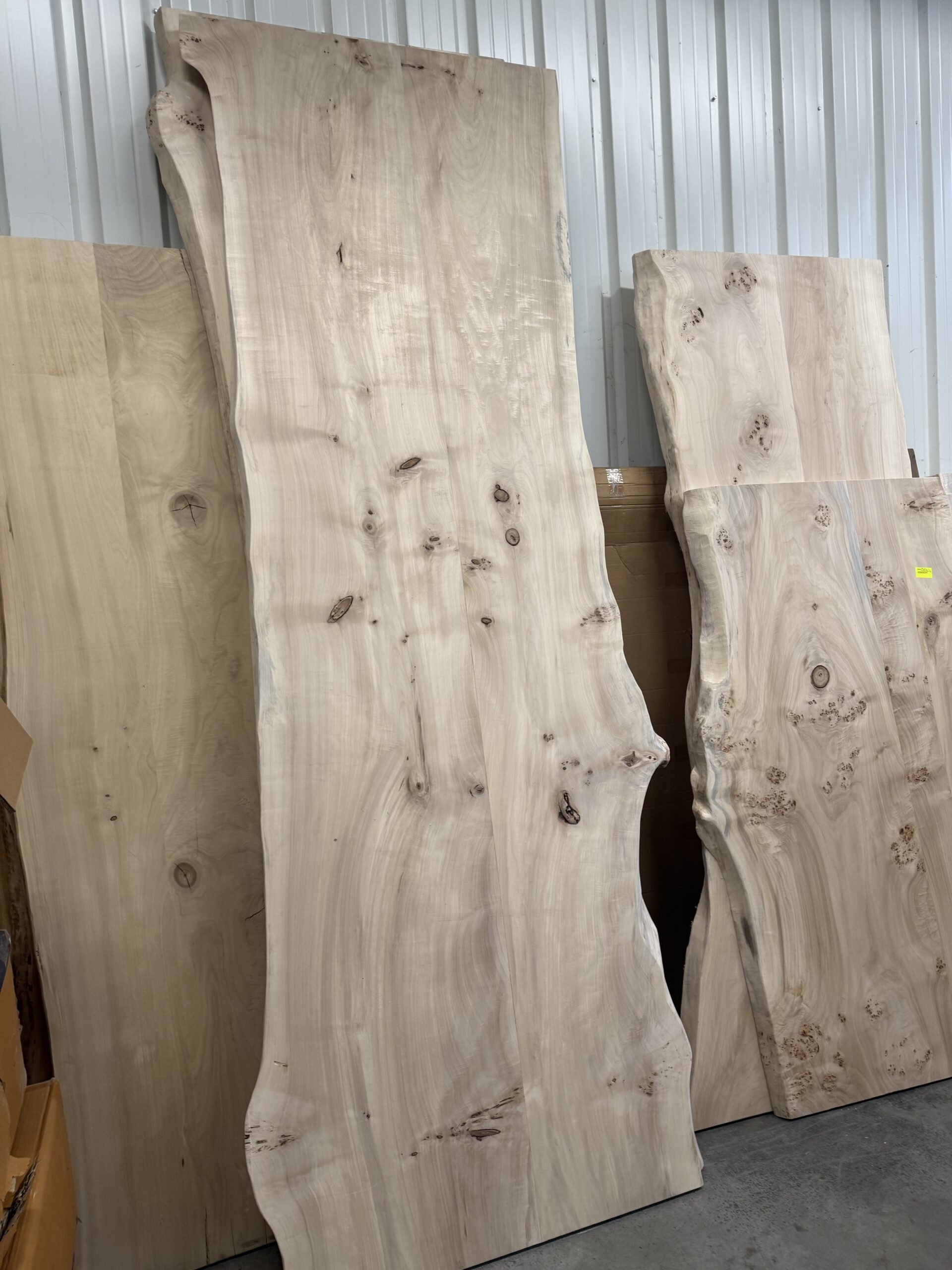 Amalia boomstamtafel - Afbeelding 46