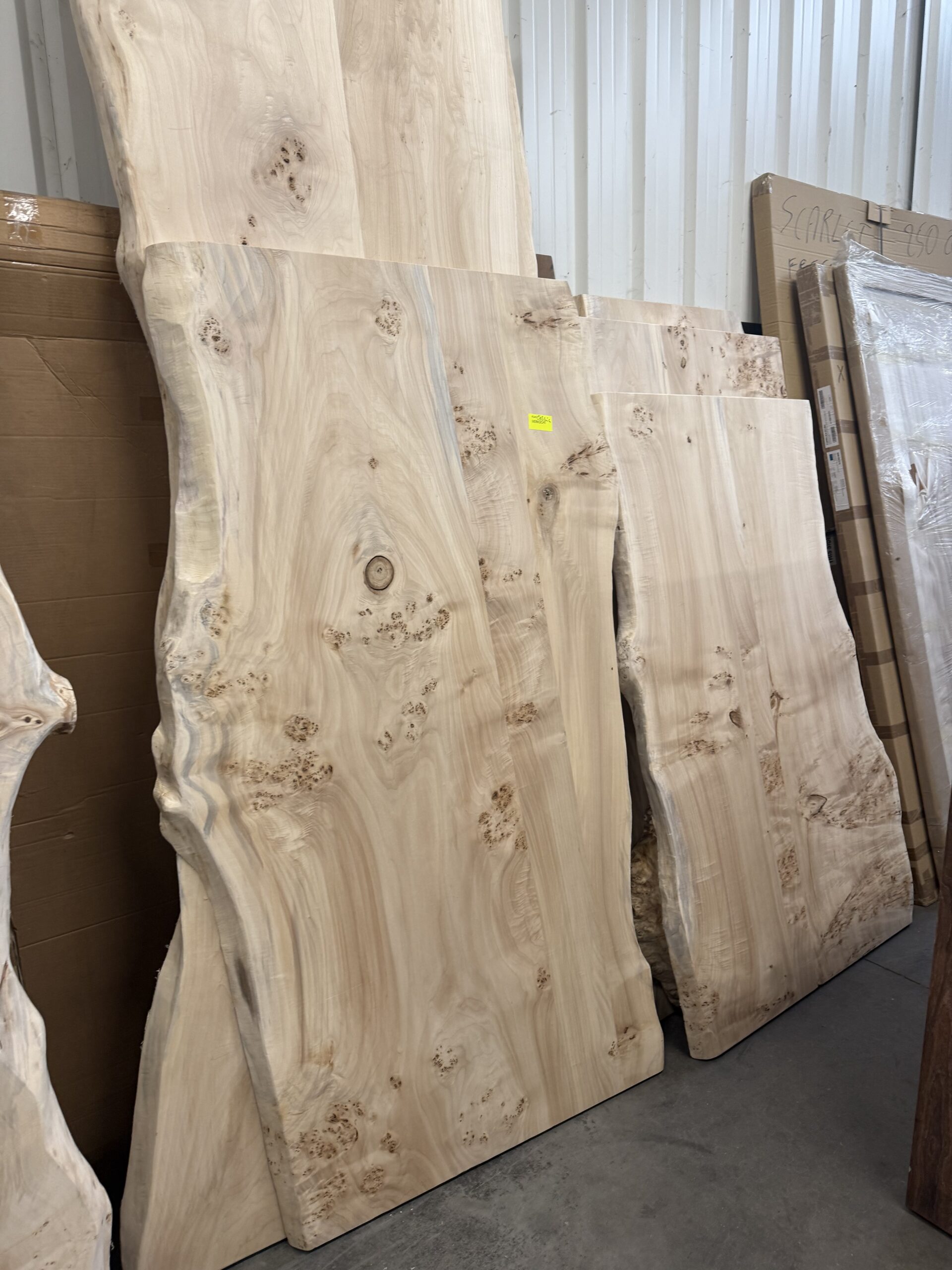 Amalia boomstamtafel - Afbeelding 47