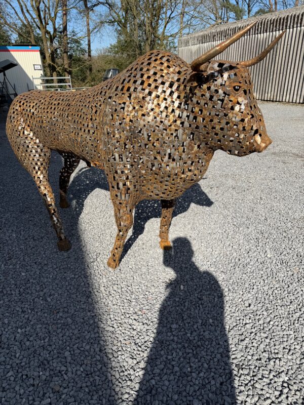 Bull - Afbeelding 2