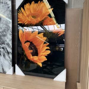 Foto zonnebloem
