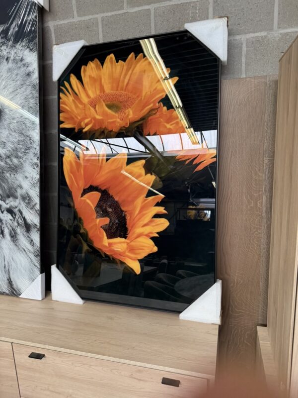 Foto zonnebloem